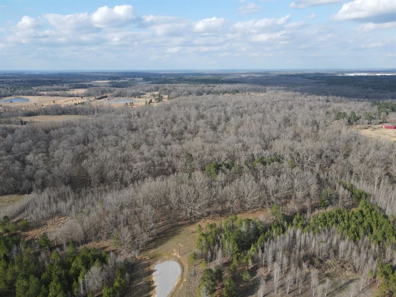 25.61 Acres in Madison County, MS : Canton : Madison County : Mississippi