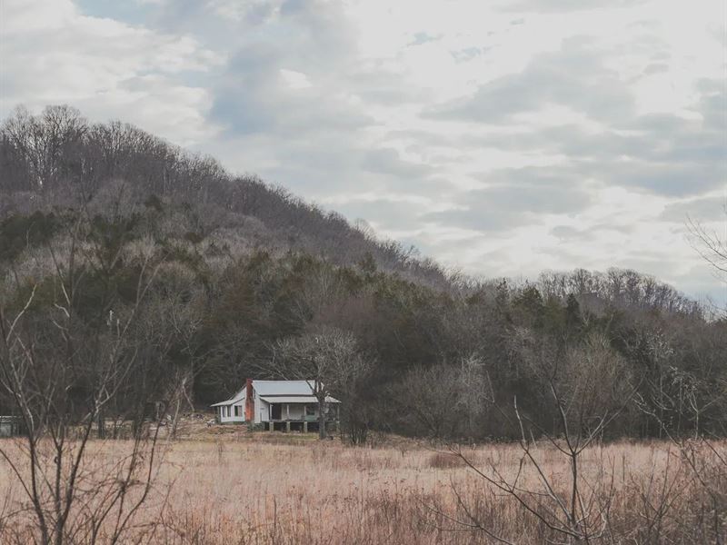 150 Acres with 3 Homes in Putnam Co : Buffalo Valley : Putnam County : Tennessee