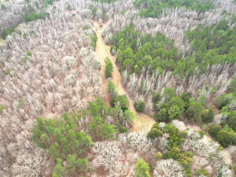 363.52 Acres in Holmes County, MS : West : Holmes County : Mississippi