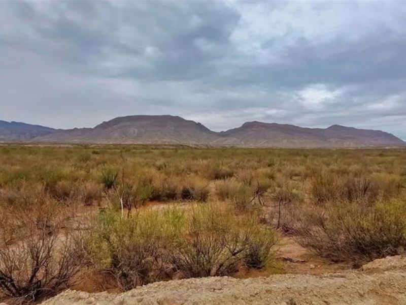 Majestic 60-Acre Last Frontier : Valentine : Jeff Davis County : Texas