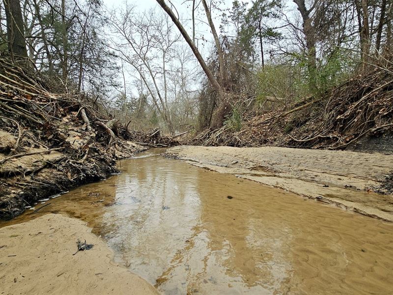 Davis Springs 40 : Ravenna : Fannin County : Texas