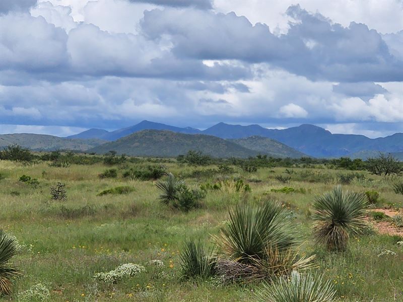 Magnificent Double U Ranch : Tombstone : Cochise County : Arizona