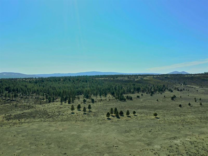 The Land You Dreamed Of : Sprague River : Klamath County : Oregon