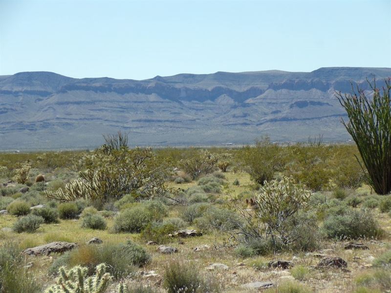 Build Your Perfect Oasis in Arizona : Yucca : Mohave County : Arizona