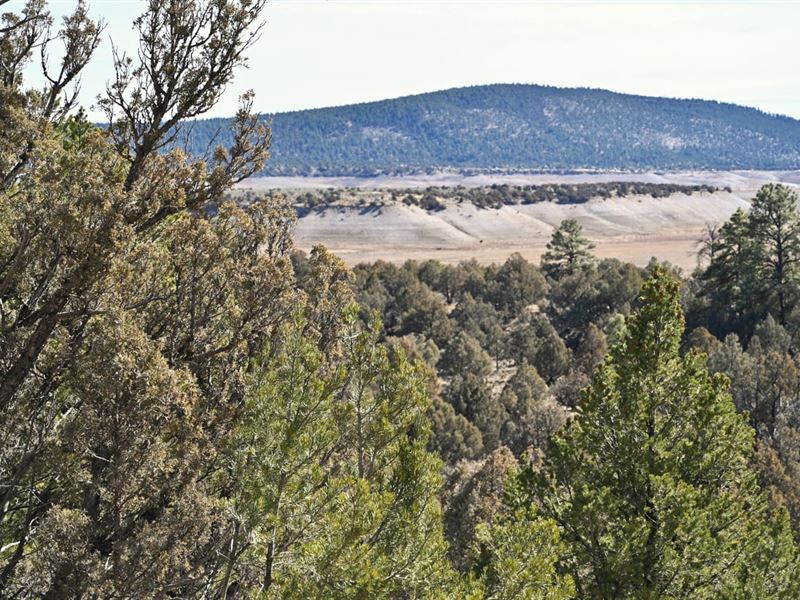 El Vado Lot : Tierra Amarilla : Rio Arriba County : New Mexico