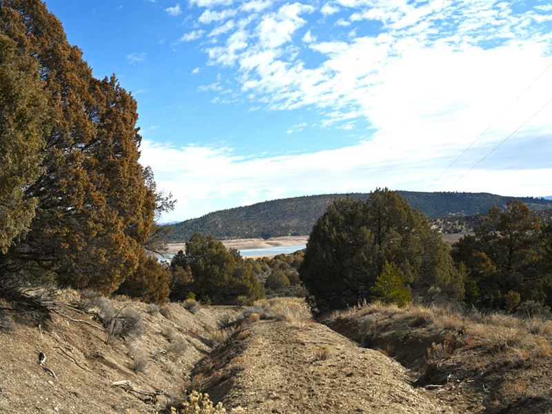 Cr 322 Unit B-6 Lot 12 El Poso : Tierra Amarilla : Rio Arriba County : New Mexico