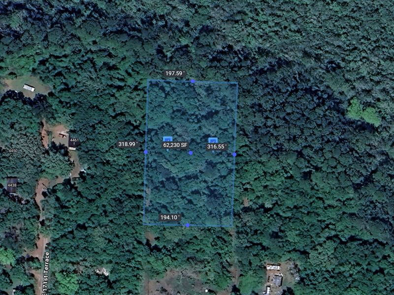 1.64 Acres, Silver Springs, Florida : Silver Springs : Marion County : Florida