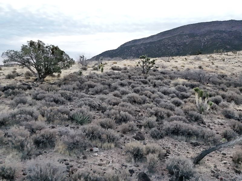 Epic Views, Endless Uses : Meadview : Mohave County : Arizona