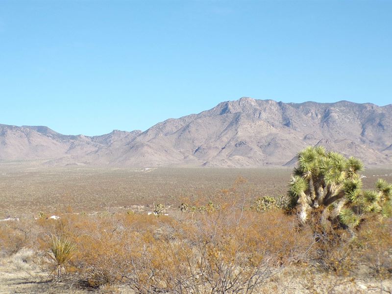 Will You Own or Be Left Behind : Meadview : Mohave County : Arizona