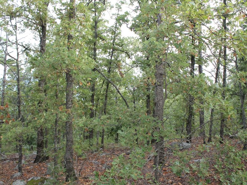 Recreational Land, $999 Down : Clayton : Pushmataha County : Oklahoma