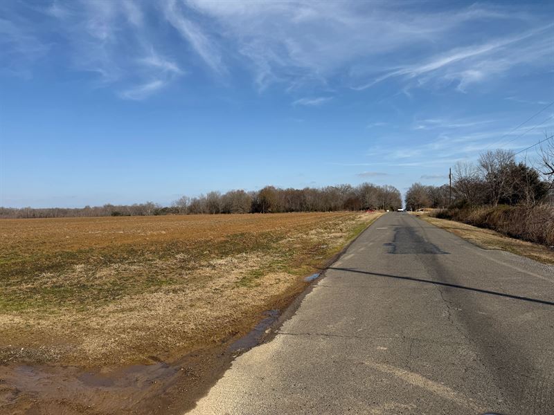 La, Richland 121 Acres : Bee Bayou : Richland Parish : Louisiana