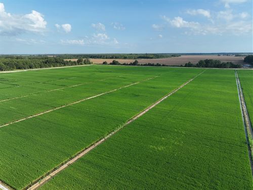 Dry Bayou Farm : Crowder : Quitman County : Mississippi