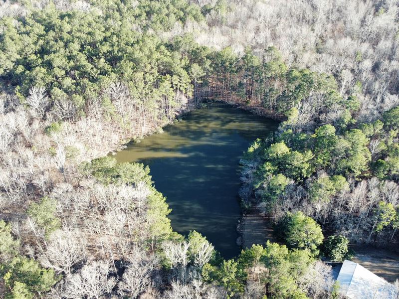 26 Acres Judge Brown Rd : Valley : Chambers County : Alabama