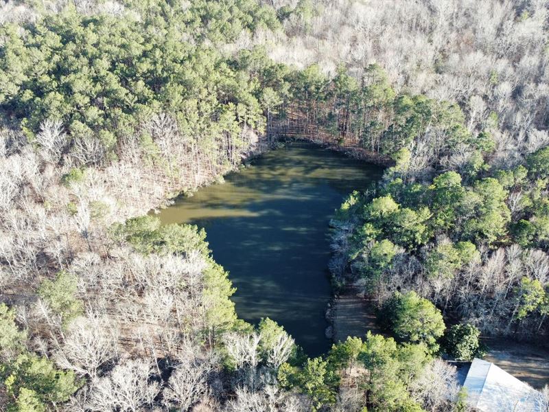 26 Acres Judge Brown Rd : Valley : Chambers County : Alabama