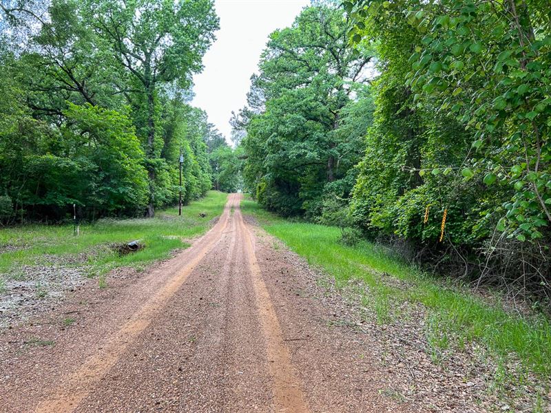 Lot, Forest Road, Houston County : Crockett : Houston County : Texas