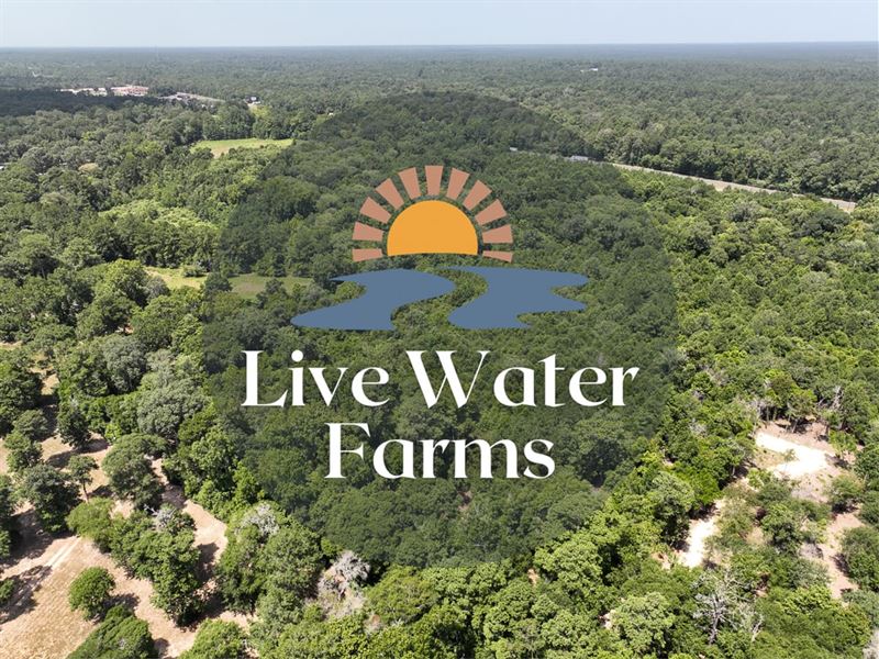 6 Acres, Live Water Farms, S1 L3 : Shepherd : San Jacinto County : Texas