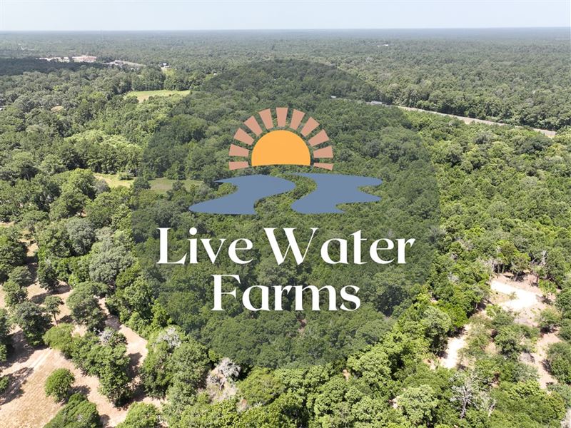 2.8 Acres, Live Water Farms, S2 : Shepherd : San Jacinto County : Texas