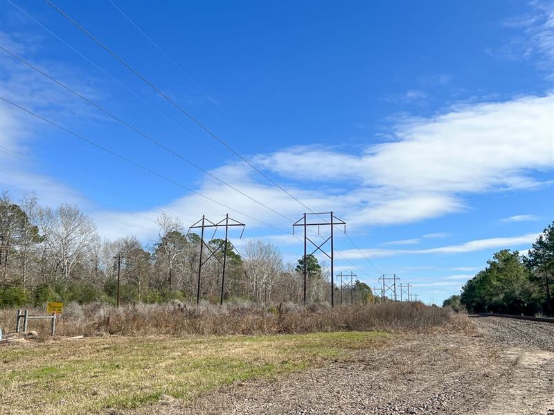 8.6 Acres, Joe Allen Road : Honey Island : Hardin County : Texas