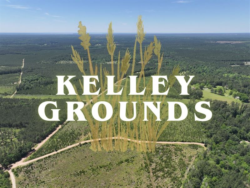 2.9 Acres, Lot 1-3, Kelley Ground : Indian Springs : Polk County : Texas