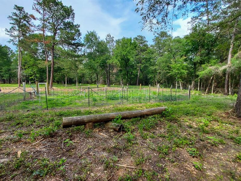 10 Acres, 134 Cedar Ridge : Huntsville : Walker County : Texas