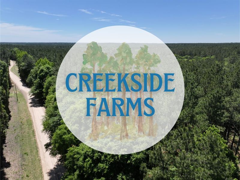 4.2 Acres, Lot 1, Creekside Farms : Livingston : Polk County : Texas