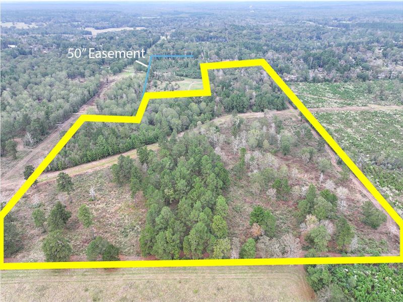 27 Acres, T-3, CR 103A : Lufkin : Angelina County : Texas