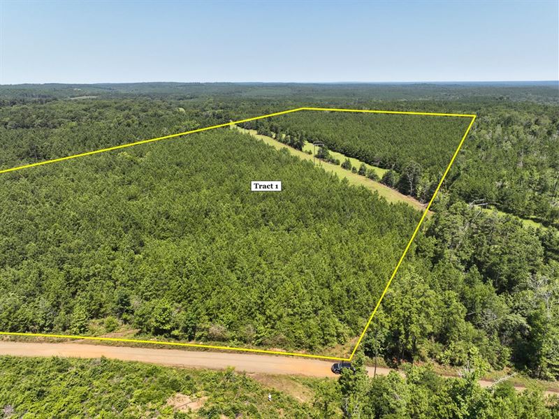 33 Acres, T-1, Carters Ferry Road : Milam : Sabine County : Texas