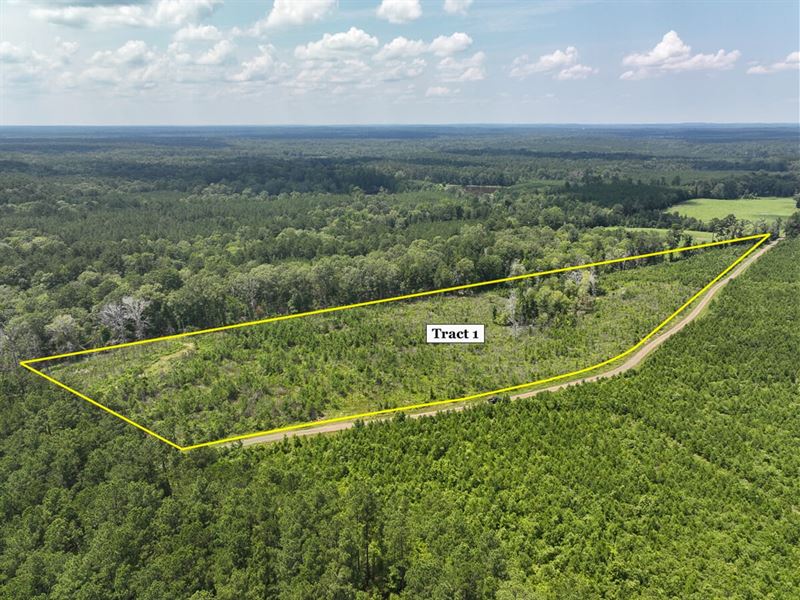 12 Acres, T-1, Coussons Drive, 1 : Hemphill : Sabine County : Texas