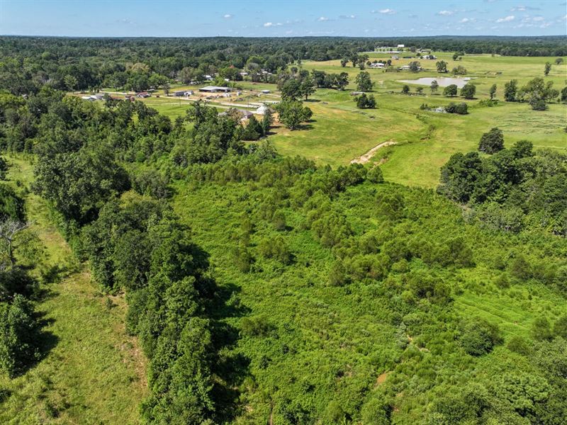 32 Acres, Highway 271 : Gladewater : Gregg County : Texas