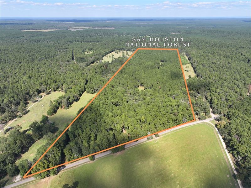 50 Acres, Adjoins National Forest : Huntsville : Walker County : Texas