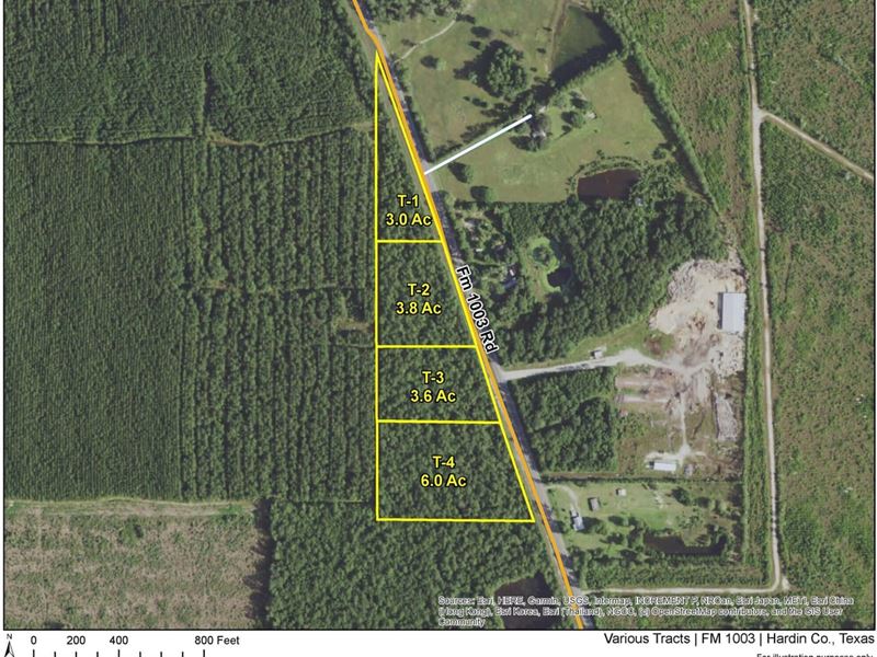 3 Acres, FM 1003, T-2 : Kountze : Hardin County : Texas