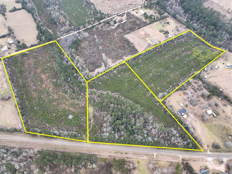 15 Acres, FM 2626 & County Road 20 : Newton : Newton County : Texas