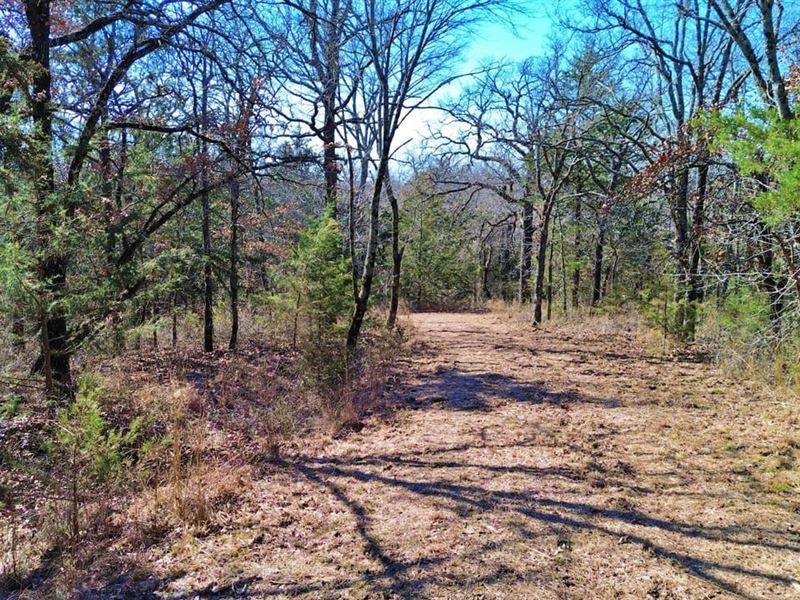 Wooded Land for Sale North of Muens : Muenster : Cooke County : Texas