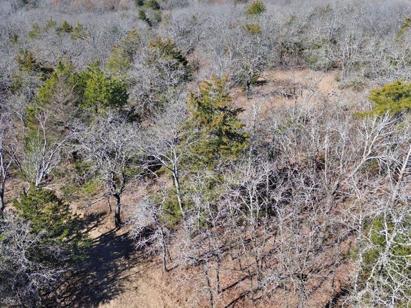 28.48 Wooded Acres in The North Tex : Muenster : Cooke County : Texas