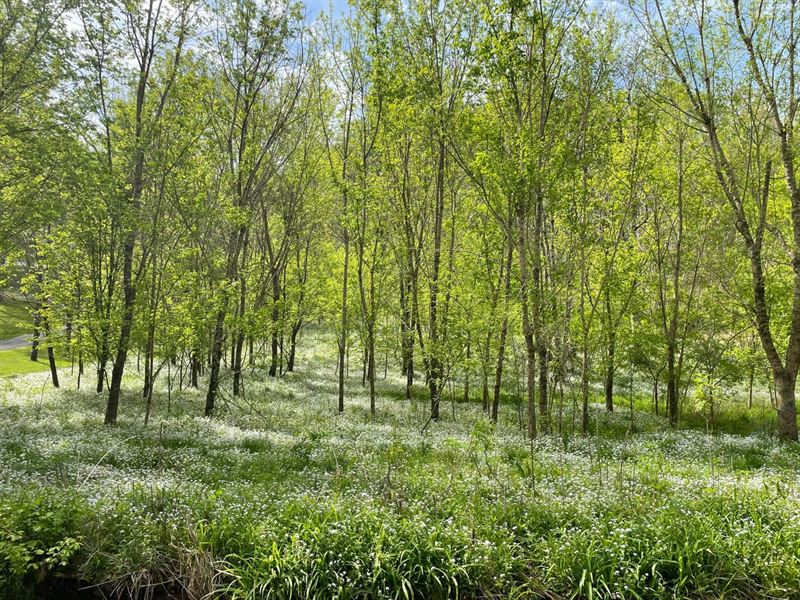 8.33 Acres : Pleasant Shade : Smith County : Tennessee