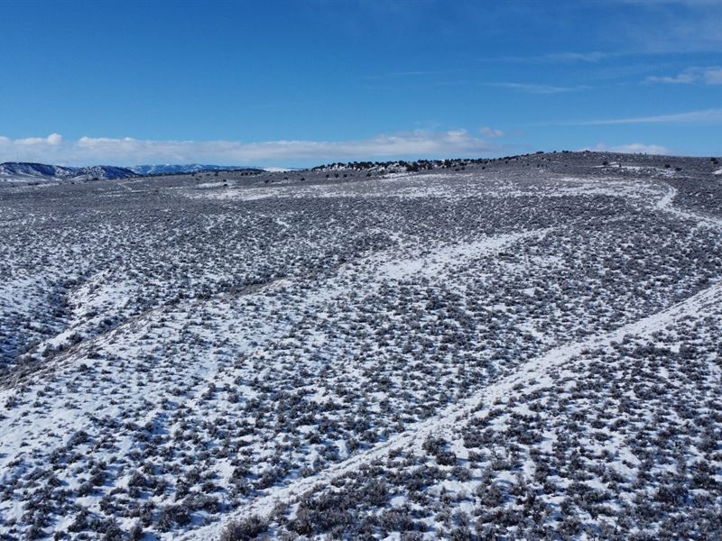 Lay Creek 199 : Craig : Moffat County : Colorado