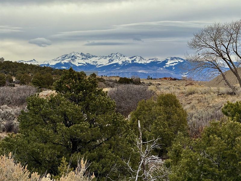 Skyway Ranch : Dolores : Montezuma County : Colorado