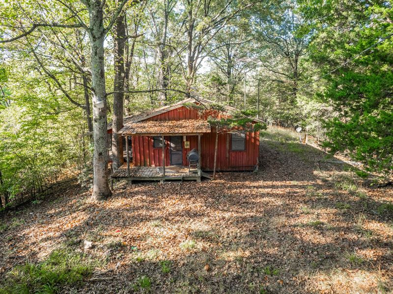 St. Francis Cabin : Marianna : Lee County : Arkansas