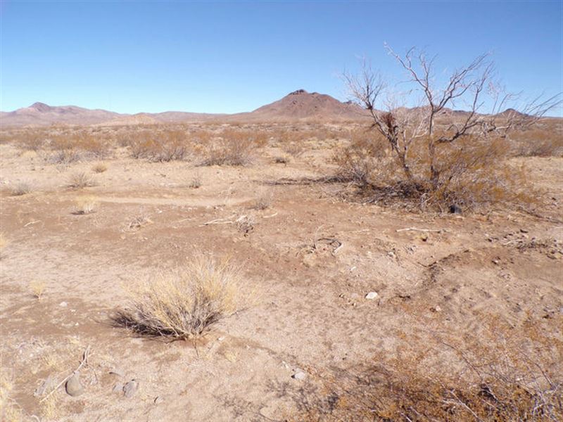 Own Land Less Today in AZ Mohave : Kingman : Mohave County : Arizona