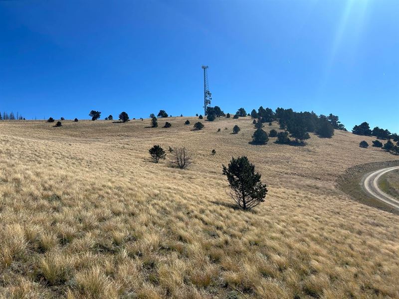 Lot 491 Fwcr, Ft Garland, Co 81133 : Fort Garland : Costilla County : Colorado