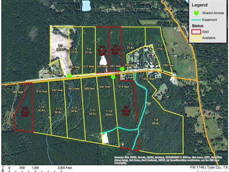 22 Acres, T-6, FM 1746 : Spurger : Tyler County : Texas