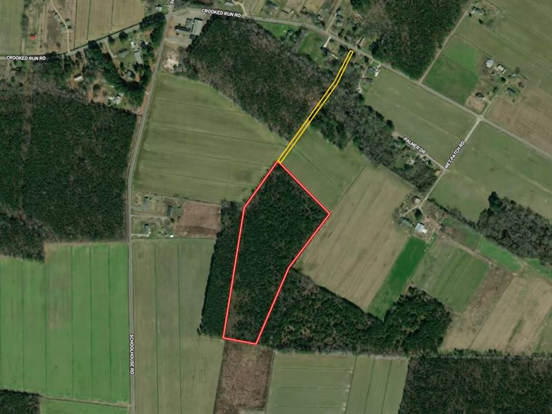 15.82 Acres of Timber Land in Pasqu : Elizabeth City : Pasquotank County : North Carolina