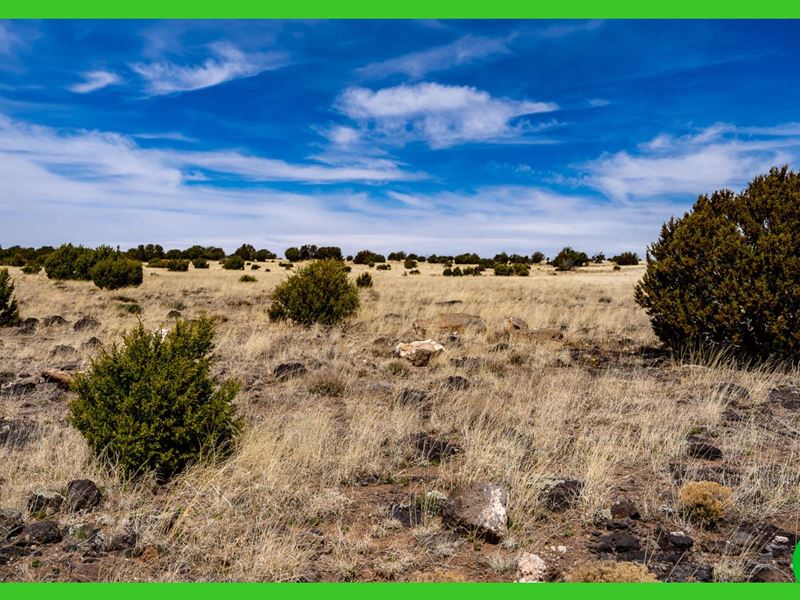 1.03 Acres in Concho RV's & Camping : Concho : Apache County : Arizona