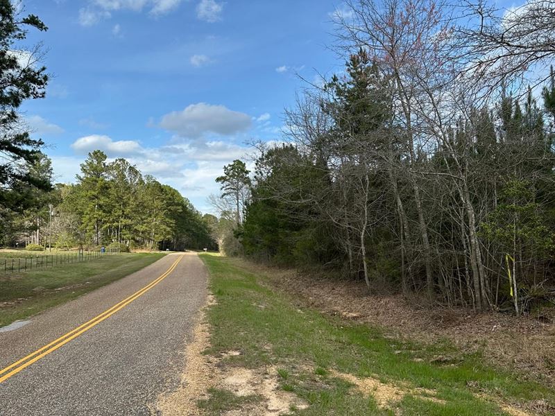 70 Acres Mayberry Gulley Rd : Dozier : Crenshaw County : Alabama