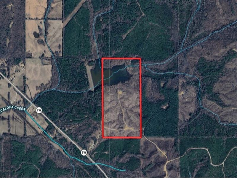 80 Acres in Banner, Mississippi : Banner : Calhoun County : Mississippi