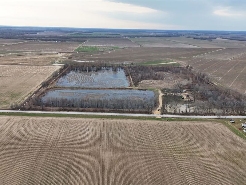 36 Acres in Sunflower County, MS : Drew : Sunflower County : Mississippi