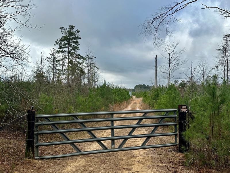 127 Acres in Jasper County, MS : Pachuta : Jasper County : Mississippi