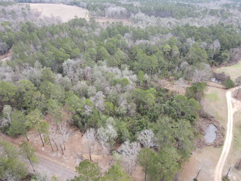 10 Acres in Lamar County, MS : Sumrall : Lamar County : Mississippi