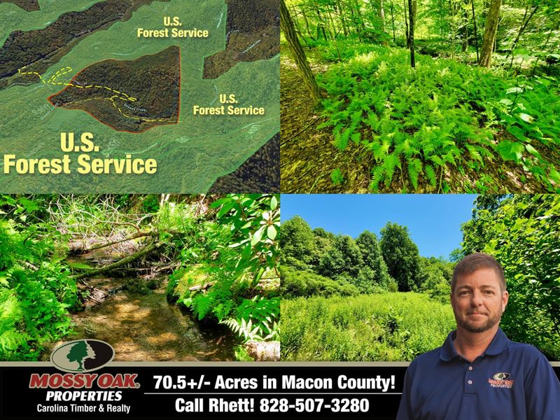 70.52 Acres Unrestricted : Topton : Macon County : North Carolina