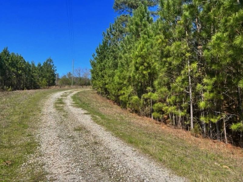 6.02 Acres Near Elberton, GA : Elberton : Elbert County : Georgia